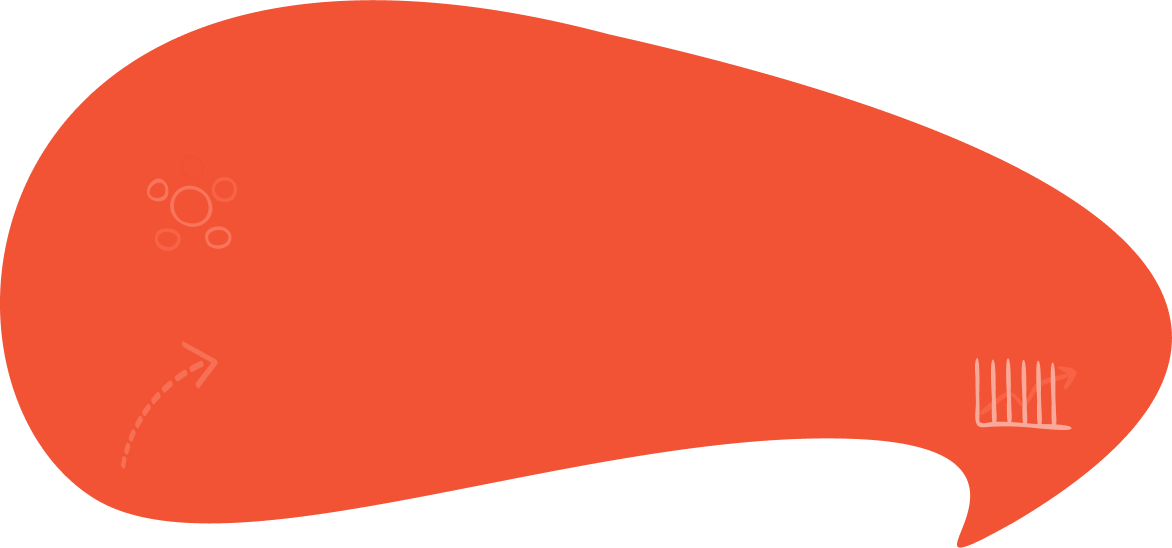 base-form.png